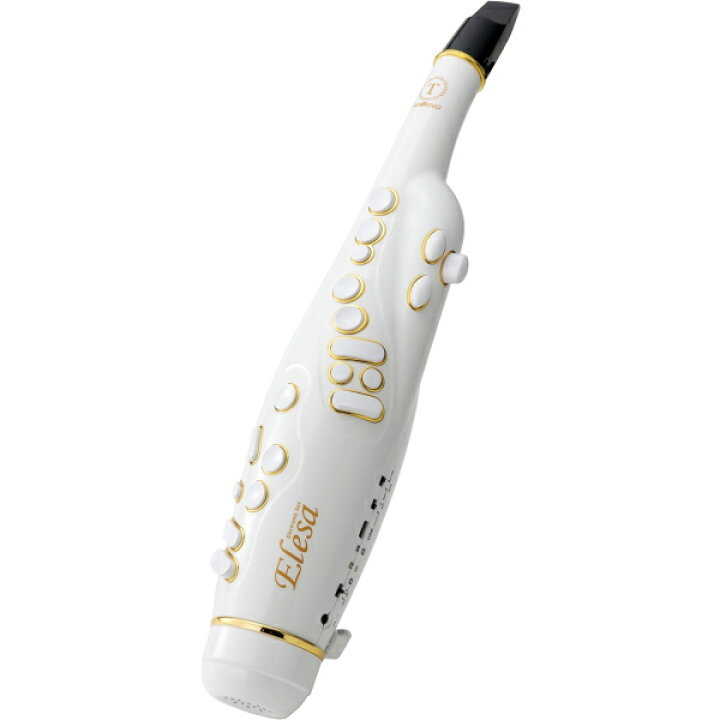 楽天市場】TAHORNG タホーン【電子サックス Elesa10 エルサ 