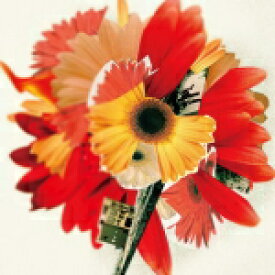 楽天市場 指田郁也 花は咲くの通販 楽天市場 指田郁也 花は咲くの通販