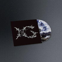 楽天市場】XGの通販