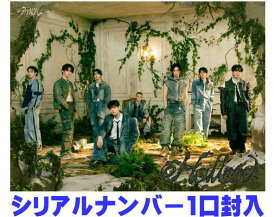 【オリコン加盟店】初回生産限定盤A★Blu-ray付★24P PHOTO BOOK★オリジナルジャケット・トールケースサイズデジパック仕様★他封入特典有■Stray Kids CD+Blu-ray【Hollow】25/6/18売【楽ギフ_包装選択】