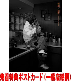 【オリコン加盟店】先着特典ポストカード[外付]初回限定盤A★DVD付★デジパック仕様 ★SEKAI NO OWARIメンバー図鑑封入■SEKAI NO OWARI CD+DVD【琥珀／図鑑】25/9/3発売【楽ギフ_包装選択】