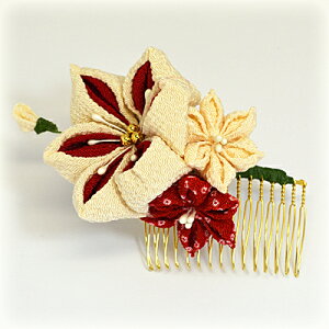 聙y܂ݍ׍H@@ԁza@wAANZT[@R[@[s]yyMt_Iz