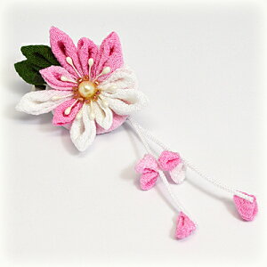 聙y܂ݍ׍H@@ԁza@wAANZT[@u[`@RT[W@@[s]yyMt_Iz