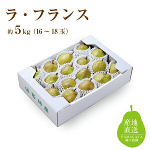 ���t�����X ��5kg�^15�`18�ʁi06-V�j