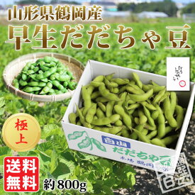 友達ギフト（カード付）渡部さんの極上早生だだちゃ豆 約1.2kg（03-S-OS）