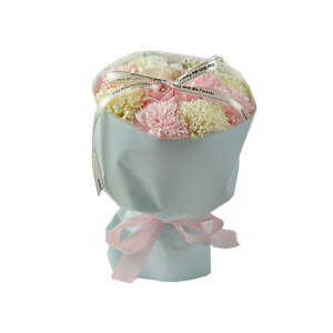 a \[vt[ ԑ  v[g av[g j l \ j Mtg a߂łƂ u[P ͂Ȃ  o Ђ܂ TCY  FB 70 60