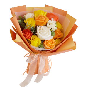 a \[vt[ ԑ  v[g av[g j l \ j Mtg a߂łƂ u[P ͂Ȃ  o Ђ܂ TCY  FB 70 60