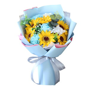 a \[vt[ ԑ  v[g av[g j l \ j Mtg a߂łƂ u[P ͂Ȃ  o Ђ܂ TCY  FB 70 60