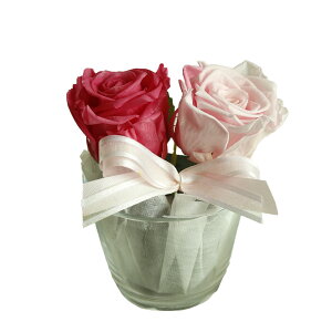 v[g av[g vU[uht[ a Mtg o  FB Fl LO j  \ ߂łƂ oY j ސEv[g j  j a@ C