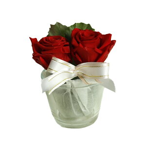 v[g av[g vU[uht[ a Mtg o  FB Fl LO j  \ ߂łƂ oY j ސEv[g j  j a@ C