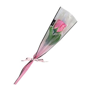 \[vt[ v`Mtg  LOi ސE@   v[g Mtg oYj  ԑ LO JXj Ӊ ސEj 1փ\[vt[ Ǝ   l 