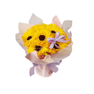 a \[vt[ ԑ  v[g av[g j l \ j Mtg a߂łƂ u[P ͂Ȃ  o Ђ܂ TCY  FB 70 60