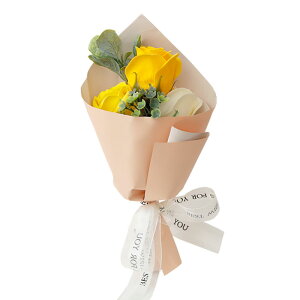 \[vt[ av[g \ a v[g Mtg oYj \[vt[Mtg AWg  ԑ LO o Cj  c FB  aj FB Fl 