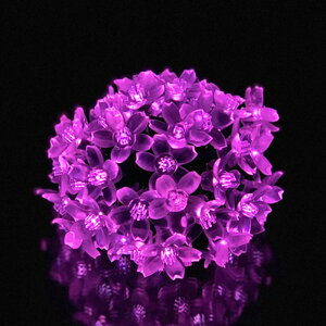 C~l[V O \[[ NX}X     Op C~l[VCg \[[C~l[VCg \[[C~l[V 120 NX}X J[e  