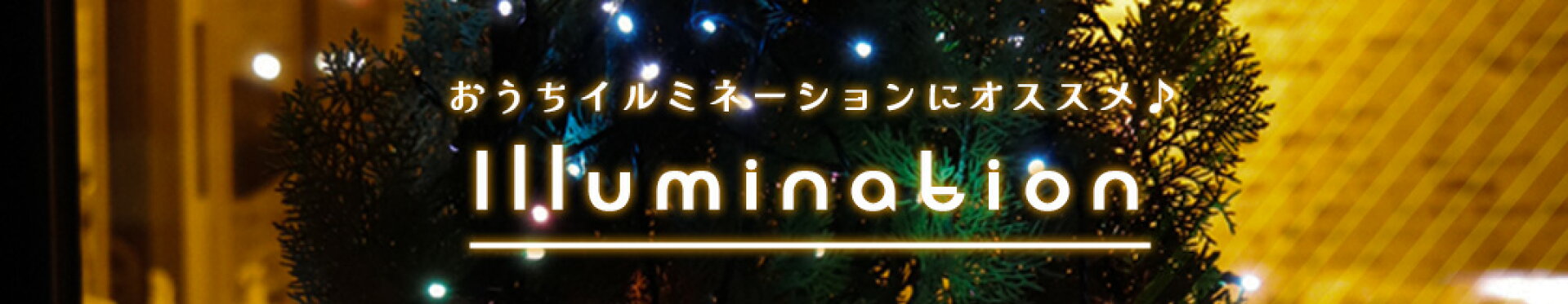 イルミネーション特集