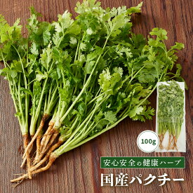 パクチー 100g 福島県産 国産 中華料理 ベトナム料理 タイ料理 エスニック 新鮮 コリアンダー 香菜 コウサイ