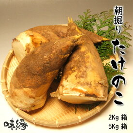 【ポイント3倍】たけのこ 2Kg箱 5Kg箱 米糠 同封 筍 タケノコ 和歌山県産 朝堀り 当日 出荷品 クール便発送 鮮度抜群 贈り物 ギフト 誕生日 御礼 お花見 バーベキュー たけのこごはん 木の芽和え たけのこ料理 送料無料