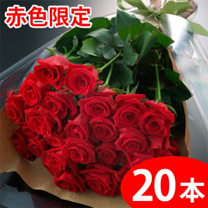 【送料無料】赤いバラの花束ギフト20本 期間限定 ポイント5倍