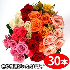 色が選べるバラの花束ギフト30本　送料無料