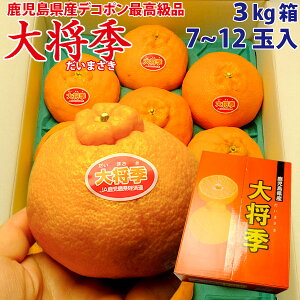 fR|ōi 叫Gi܂j3L 7~12ʓ Y Yi nEX ͔| ʍ͔| k sm Ε Ni Mtg ϔ ̂ bZ[WJ[h 