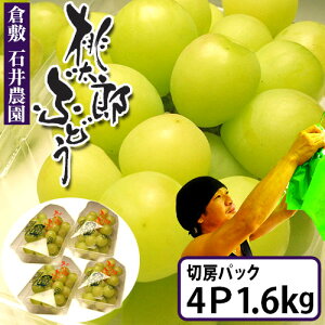 Έ_̓YԂǂ@ؖ[pbN×4@v1.6Kg@ȂŔ炲ƐHׂ܂őu₩ȃ[[̂悤ȂԂǂ@ppbN Ԃǂ R q~ t[c