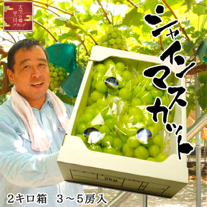 楽天市場】物部農園 シャインマスカット 2キロ箱 3〜5房入 岡山県産 