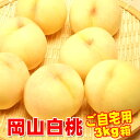 【ポイント5倍5％OFFクーポン】岡山県産白桃 ご自宅用訳あり 3Kg箱 1.5Kg箱 岡山白桃物語 送料無料 収穫地を桃の聖地岡山玉島地区に限定した訳あり品です お試し 【早期ご予約受付中】