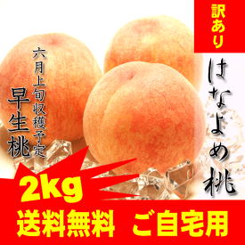 楽天市場 岡山 桃 訳ありの通販