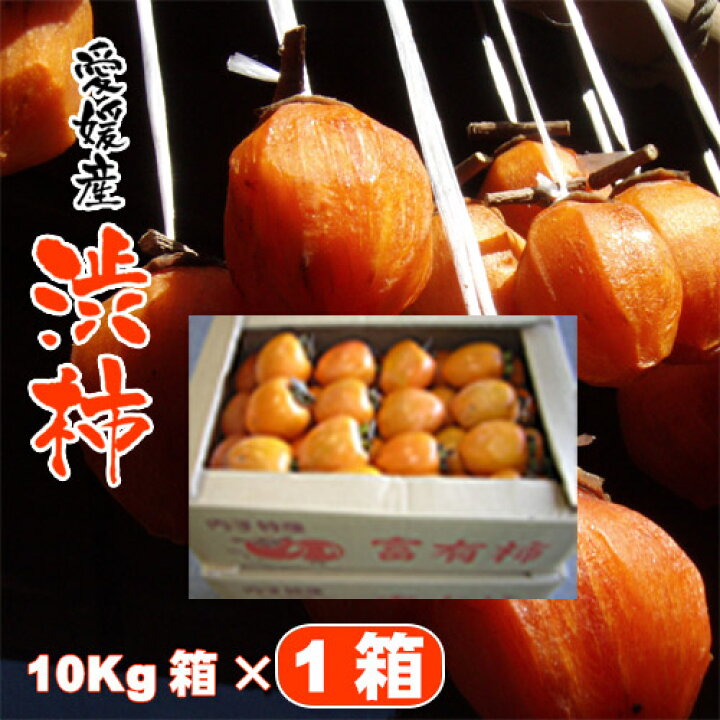 楽天市場】干し柿 用 渋柿 愛媛県産 渋柿 10Kg 20Kg 加工用 愛宕柿 