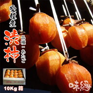 干し柿 用 渋柿 愛媛県産 渋柿 10Kg 20Kg 加工用 愛宕柿 あたご柿 ドライフルーツ ドライ柿 自家製 手作…