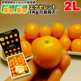 楽天市場 きんかん 1kgの通販 楽天市場 きんかん 1kgの通販