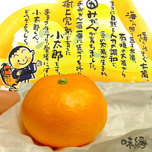 Y݂ 2.5kg ϔ QY Fa L܉z~n x ㊮n ݂ sJ 1 ܓ N ō  B ~J n1{` \  ϔ p ɏ 