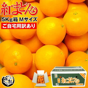 g܂ǂ GiL 2L p 3L12-15ʓ p 5Kg QY ~J k ̎n I ō  Ε N a  蕨 v[g  O Mtg 