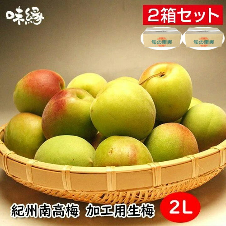 楽天市場】梅 うめ 紀州南高梅 生梅 青梅 完熟梅 秀品 2Lサイズ 5Kg×2 