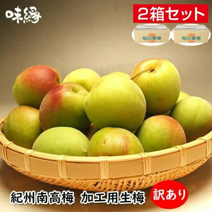 楽天市場】梅 うめ 紀州南高梅 生梅 青梅 完熟梅 訳あり サイズ混合 