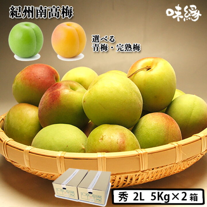 楽天市場】梅 うめ 紀州南高梅 生梅 青梅 完熟梅 秀品 2Lサイズ 5Kg×2 