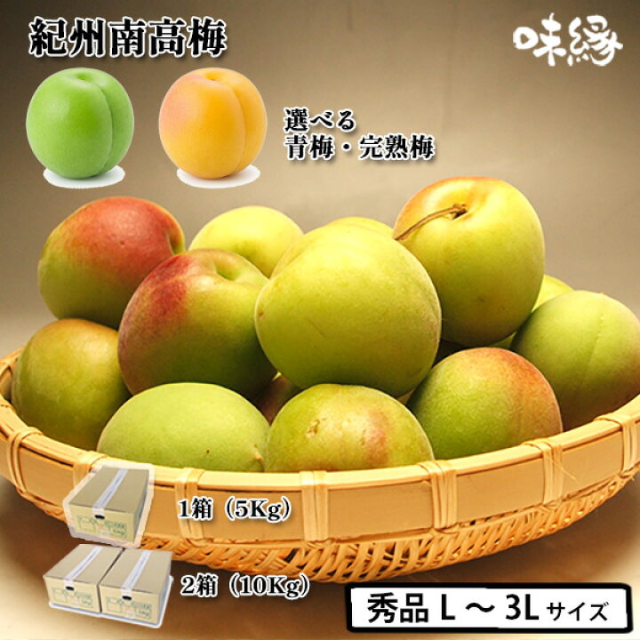 楽天市場】梅 うめ 紀州南高梅 生梅 青梅 完熟梅 秀品 L 2L 3Lサイズ 