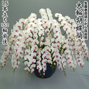 JXEJƁEEސEEړ]EyEjEaELOErWlXEΕE܁EiiENX}XEetc֌Ӓ15{150֑O