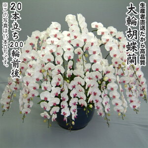 JXEJƁEEސEEړ]EyEjEaELOErWlXEΕE܁EiiENX}XEetc֌Ӓ20{200֑O