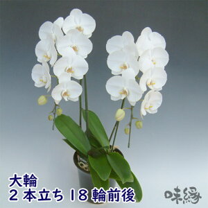 ֌Ӓ2{18֑O@JXEJƁEEސEEړ]EyEjEaELOErWlXEΕE܁EiiENX}XEetc