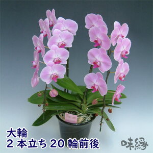 ֌Ӓ2{20֑O@JXEJƁEEސEEړ]EyEjEaELOErWlXEΕE܁EiiENX}XEetc