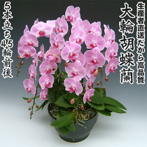 JXEJƁEEސEEړ]EyEjEaELOErWlXEΕE܁EiiENX}XEetc֌Ӓ5{45֑O