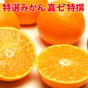 I ݂ Î ԃV S`L10kg Lciuh݂@N N 