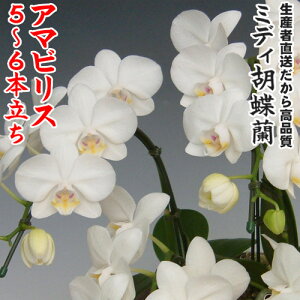 JXEJƁEEސEEړ]EyEjEaELOErWlXEΕE܁EiiENX}XE݁E̓etc~fBӒA}rX5`6{