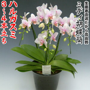 JXEJƁEEސEEړ]EyEjEaELOErWlXEΕE܁EiiENX}XE݁E̓etc~fBӒnKX~3`4{