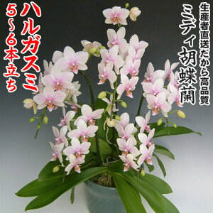 JXEJƁEEސEEړ]EyEjEaELOErWlXEΕE܁EiiENX}XE݁E̓etc~fBӒnKX~5`6{