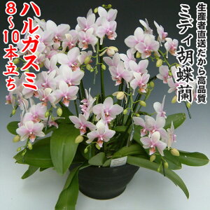 JXEJƁEEސEEړ]EyEjEaELOErWlXEΕE܁EiiENX}XE݁E̓etc~fBӒnKX~8`10{