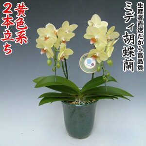 JXEJƁEEސEEړ]EyEjEaELOErWlXEΕE܁EiiENX}XE݁E̓etc~fBӒFn2{