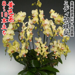 JXEJƁEEސEEړ]EyEjEaELOErWlXEΕE܁EiiENX}XE݁E̓etc~fBӒFn8`10{