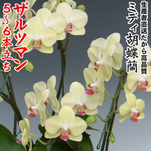 JXEJƁEEސEEړ]EyEjEaELOErWlXEΕE܁EiiENX}XE݁E̓etc~fBӒUc}5`6{